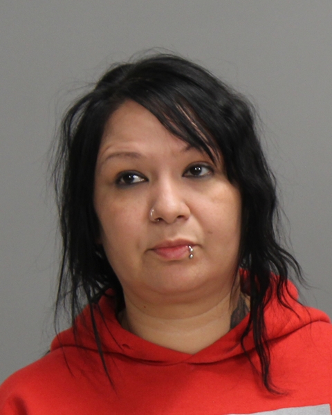 FLORES, SONIA ISAUEL booking photo
