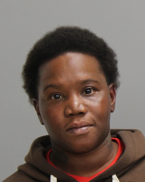 NELSON, TONISHA SHAREE booking photo