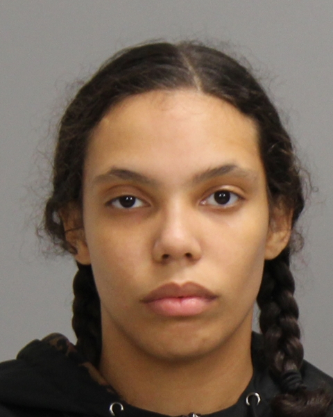 Scoggins, Bethany Rakel Grace booking photo