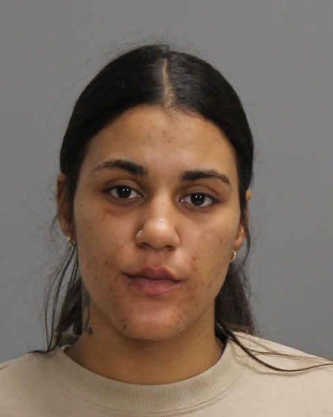 FIELDS, ASHLAN GRACE booking photo