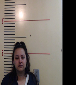 GONZALEZ, JACLYN NICOLE booking photo