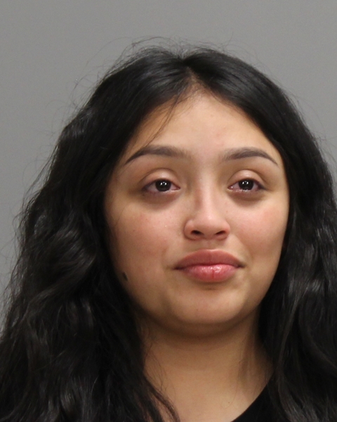 GUERRERO, JIMENA booking photo