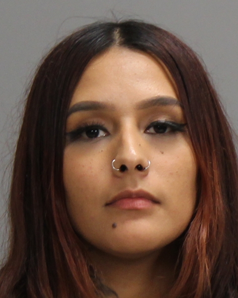 Torres, Anna Daniela booking photo