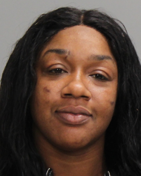 Auston, Asience Artasia booking photo