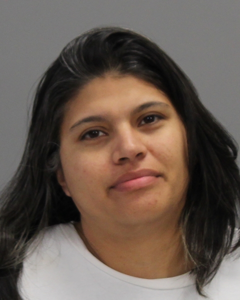 PINEDA, CHRISTINE EDUVIGUES arrested by Bryan Police Department