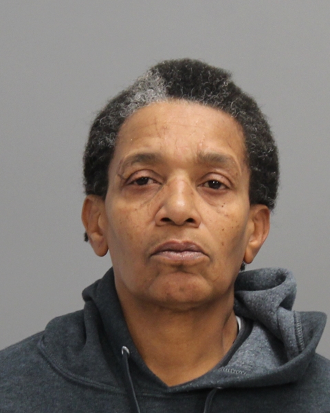 HAYNES, TERRI LASHELL arrested by Bryan Police Department