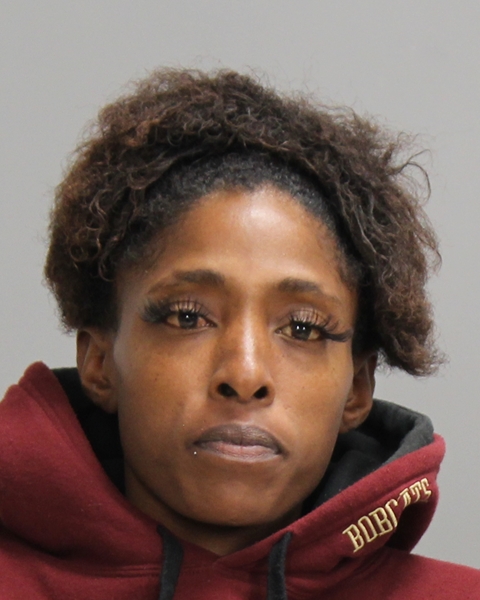 JOHNSON, SHEENA DWAN arrested by Bryan Police Department