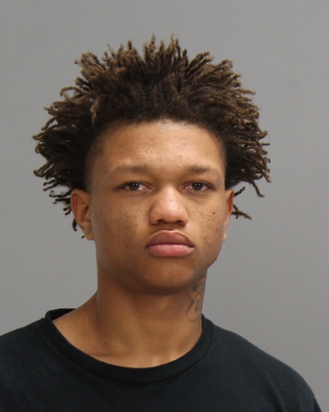 HEADGE, JAYDEN LEE booking photo