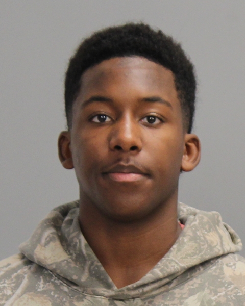 THEODORE, NATHANIEL EDWARD booking photo