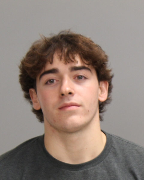 GODWIN, LANDON KYLE booking photo