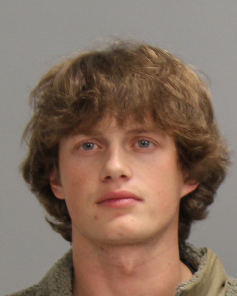 WEBB, BRAYDON MICHAEL booking photo