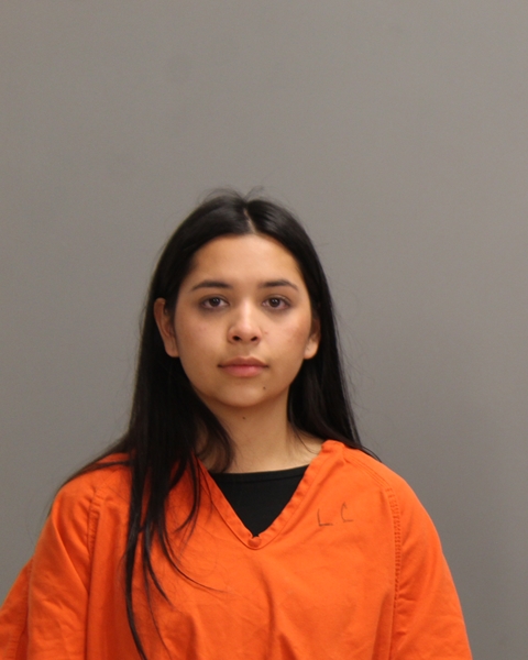 BUDDELMEIJER, LUCHA ALESSANDRA booking photo