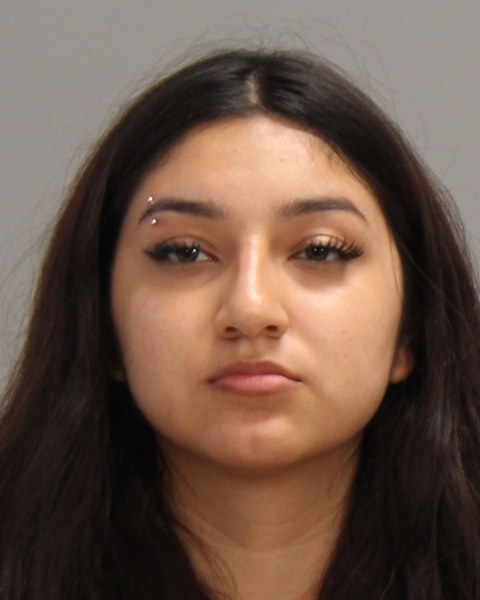 Rivero, Alexis Nicole booking photo
