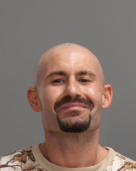 MILLS, ROBERT LEE booking photo