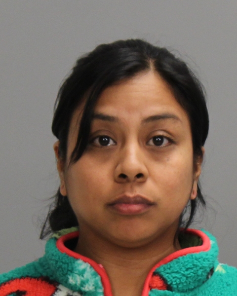 MARTINEZ, GEINY DENISE booking photo