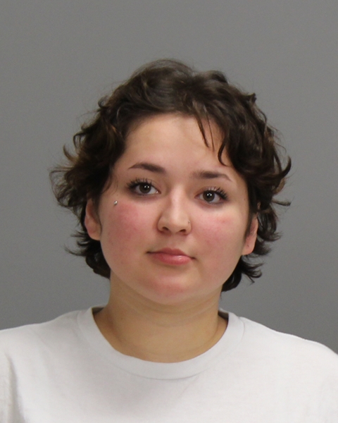 ACOSTA, REMMIDY FAITHE booking photo