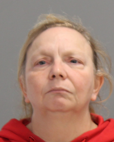 HILL, ELIZABETH ANN arrested by Bryan Police Department