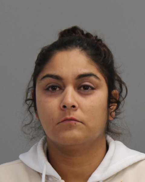 FAJARDO, EMILIA booking photo