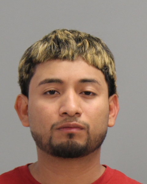 ALEMAN, MIGUEL ANGEL booking photo
