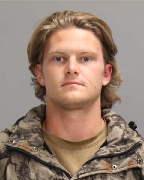 HUDGINS, COLE DENNIS booking photo