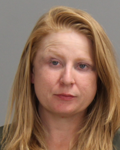 SKINNER, FAWN MARIE booking photo