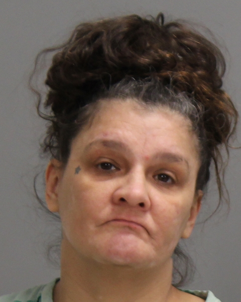 WILLIAMS, RACHEL LYNN booking photo