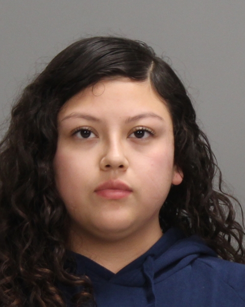 ALARCON-TREJO, JACKELINE booking photo