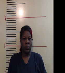 GARDNER, SHEQUILA LASHAE arrested by Parker County Sheriff’s Office
