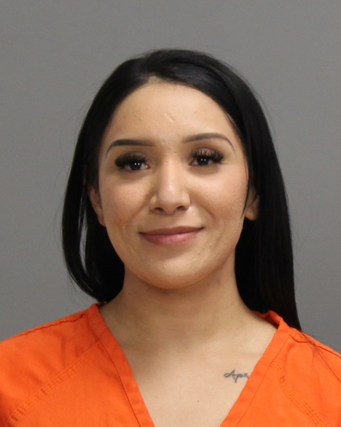 LOREDO-RAMIREZ, ALICIA LAREDO booking photo
