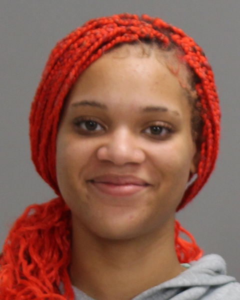 ROGERS, ALAINA ELIZABETH booking photo