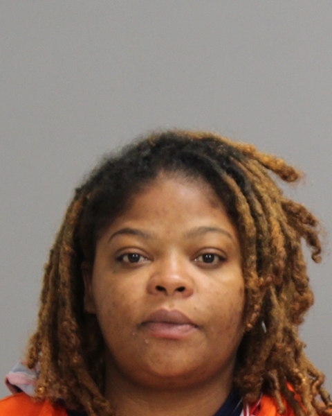 HEADGE, DANA LASHEA booking photo