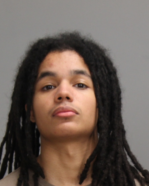 POWELL, JOESEPH ALEXANDER booking photo