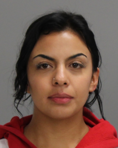 OLVERA ARANDA, KARLA DANIELA booking photo