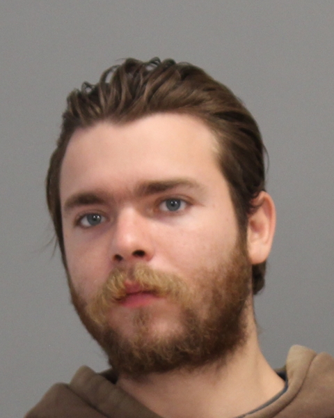 Haag, Nathan Joel booking photo