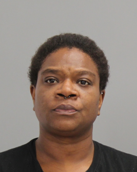 MCGOWAN, COURTNEY RENE booking photo