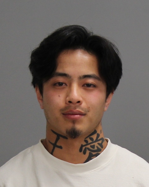 Dinh, Joseph Cao booking photo