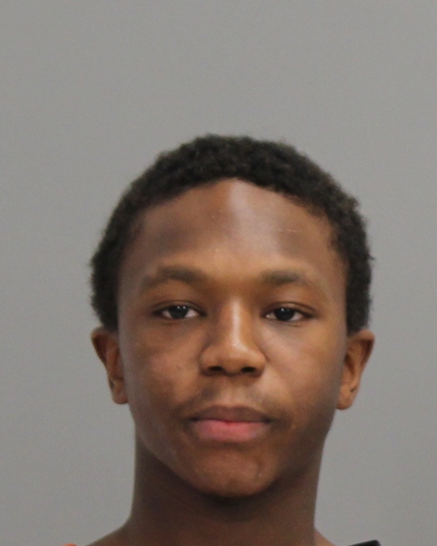 LEWIS, GIOVANNI METTEO booking photo