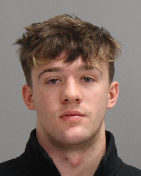 Moreau, Wesley Bryan booking photo