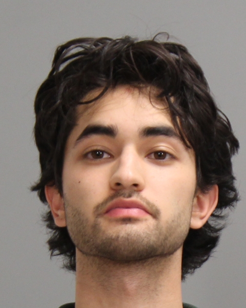 WILLIAMS, NICHOLAS DAVID booking photo