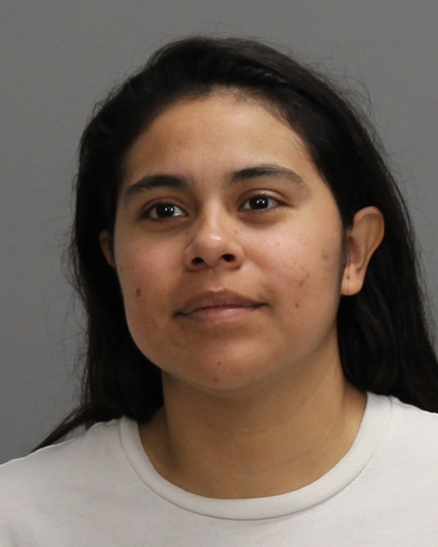 AGREDA SANTIAGO, IRMA LILIAN arrested by Brazos County SO/PD