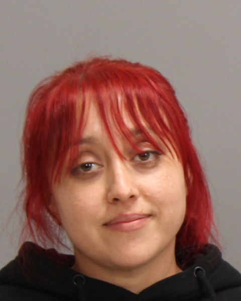 PEREZ, JACQUELIN C booking photo