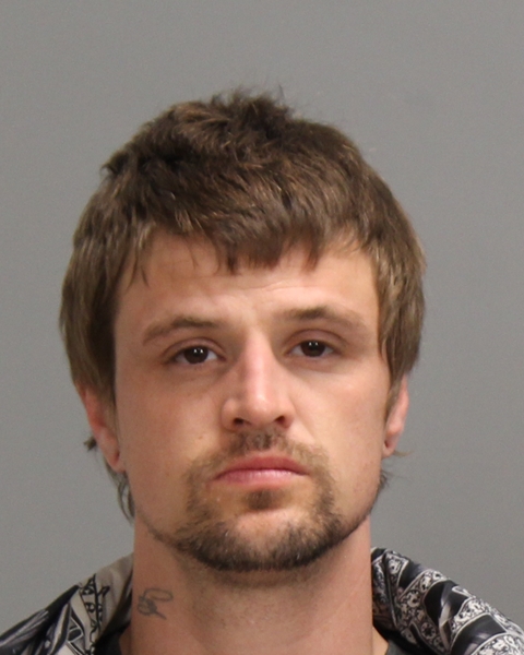 WILLIAMSON, JUSTIN KEITH booking photo