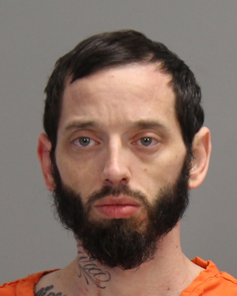 TOWELL, DAVID WAYNE, Jr booking photo