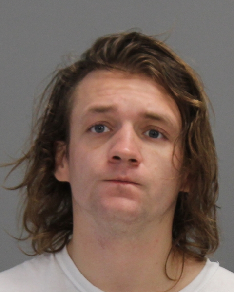 NEWTON, THOMAS EVERITT booking photo