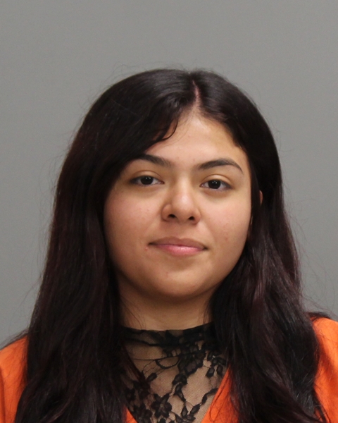 ALVAREZ, MELISSA arrested by College Station Police Department