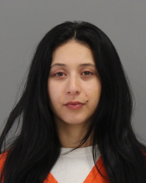 GARCIA-OCAMPO, MIRNA ARAHI arrested by Bryan Police Department