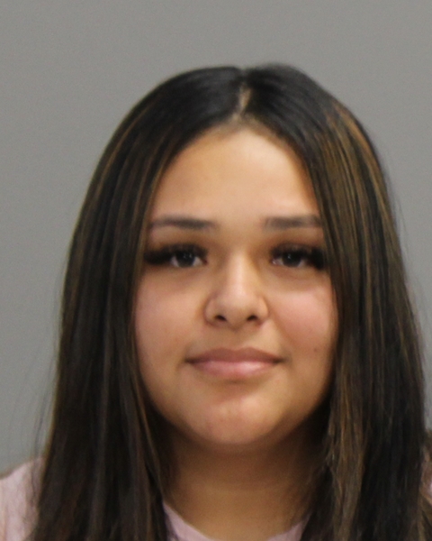 VILLALPANDO, MARIA ISABELL arrested by Bryan Police Department