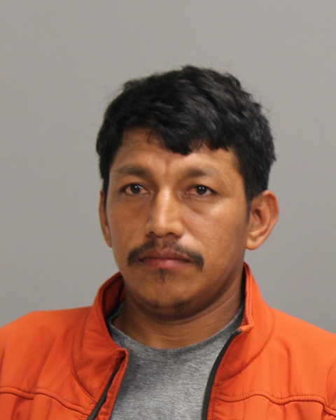TREJO VASQUEZ, ODIN booking photo