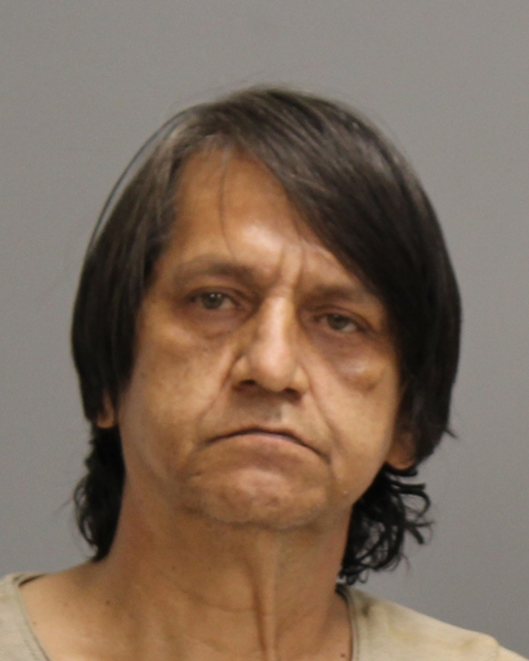 FLORES, ISMAEL DAVID booking photo