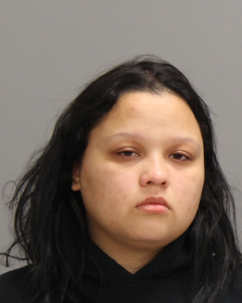 HERNANDEZ-PUERTO, ELEANA arrested by Bryan Police Department